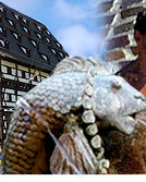 Forellenbrunnen