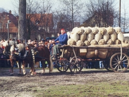 Pferdemarkt